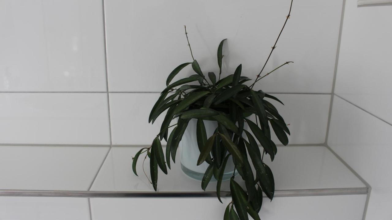 Appartement Maria Egg Dış mekan fotoğraf